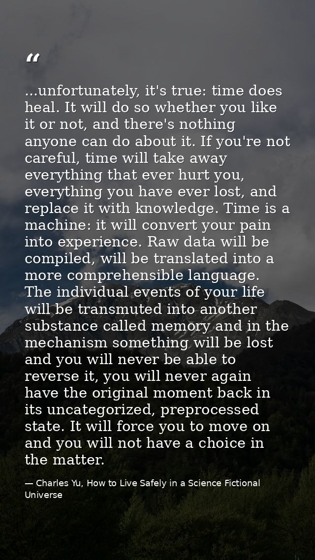 ...unfortunately, it's true: time does heal. It will do so whether you like it or not, and there's nothing anyone can do — Charles Yu, How to Live Safely in a Science Fictional Universe