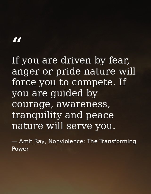 If you are driven by fear, anger or pride nature will force you to compete. If you are guided by courage, awareness, tra — Amit Ray, Nonviolence: The Transforming Power