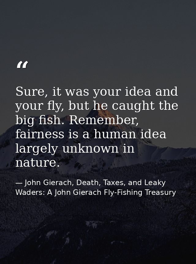 Sure, it was your idea and your fly, but he caught the big fish. Remember, fairness is a human idea largely unknown in n — John Gierach, Death, Taxes, and Leaky Waders: A John Gierach Fly-Fishing Treasury