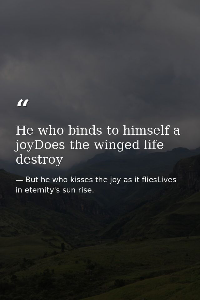 He who binds to himself a joyDoes the winged life destroy — But he who kisses the joy as it fliesLives in eternity's sun rise.