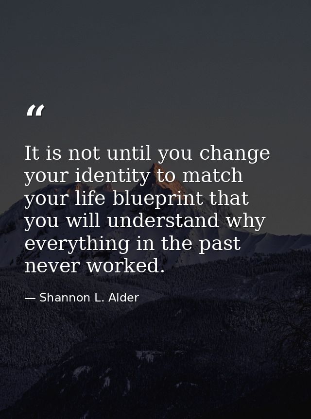 It is not until you change your identity to match your life blueprint that you will understand why everything in the pas — Shannon L. Alder