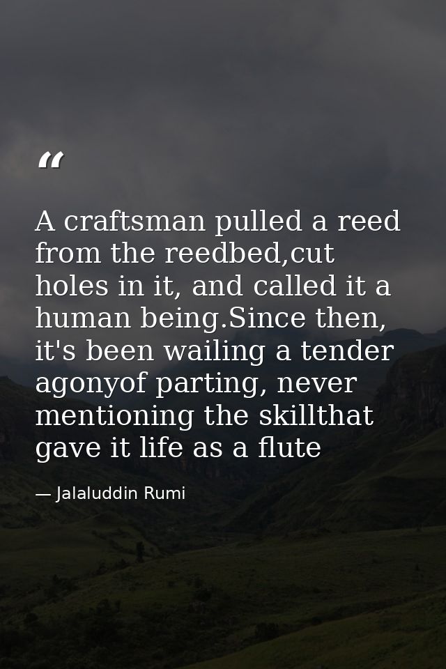 A craftsman pulled a reed from the reedbed,cut holes in it, and called it a human being.Since then, it's been wailing a  — Jalaluddin Rumi