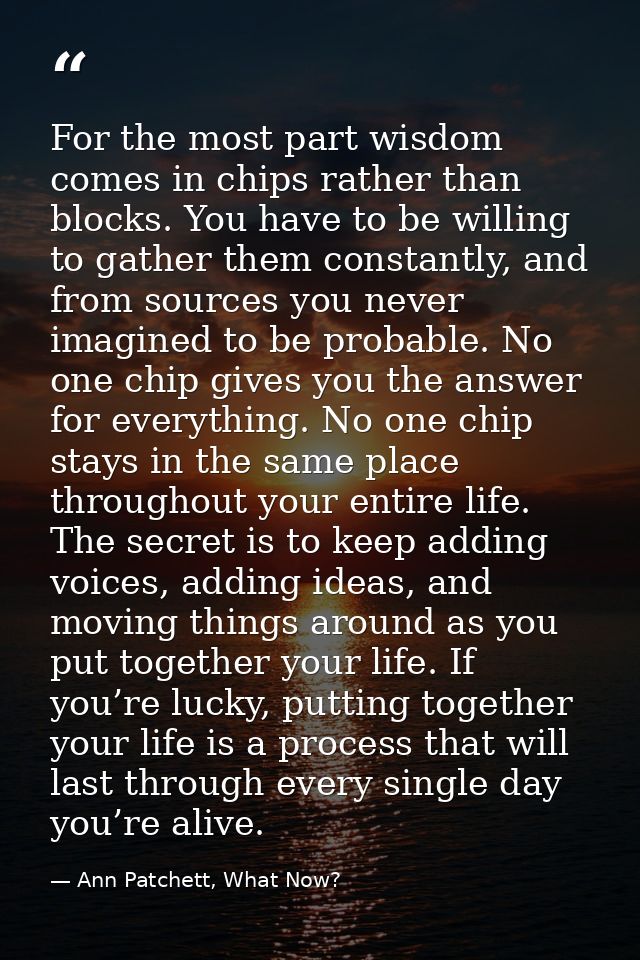 For the most part wisdom comes in chips rather than blocks. You have to be willing to gather them constantly, and from s — Ann Patchett, What Now?