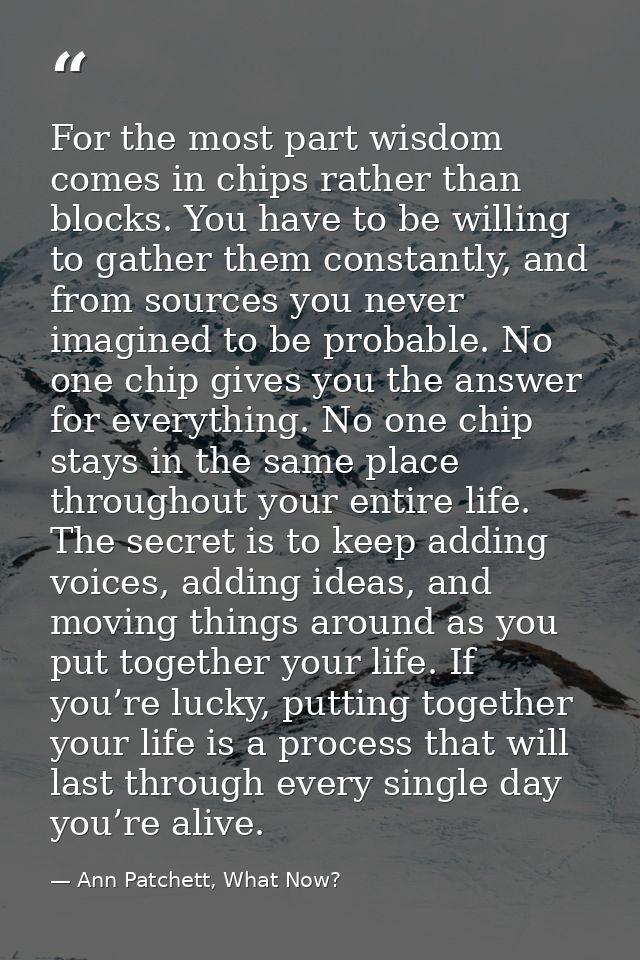 For the most part wisdom comes in chips rather than blocks. You have to be willing to gather them constantly, and from s — Ann Patchett, What Now?