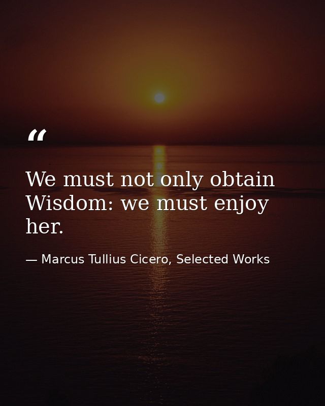 We must not only obtain Wisdom: we must enjoy her. — Marcus Tullius Cicero, Selected Works