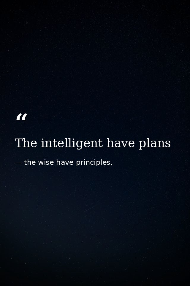 The intelligent have plans — the wise have principles.