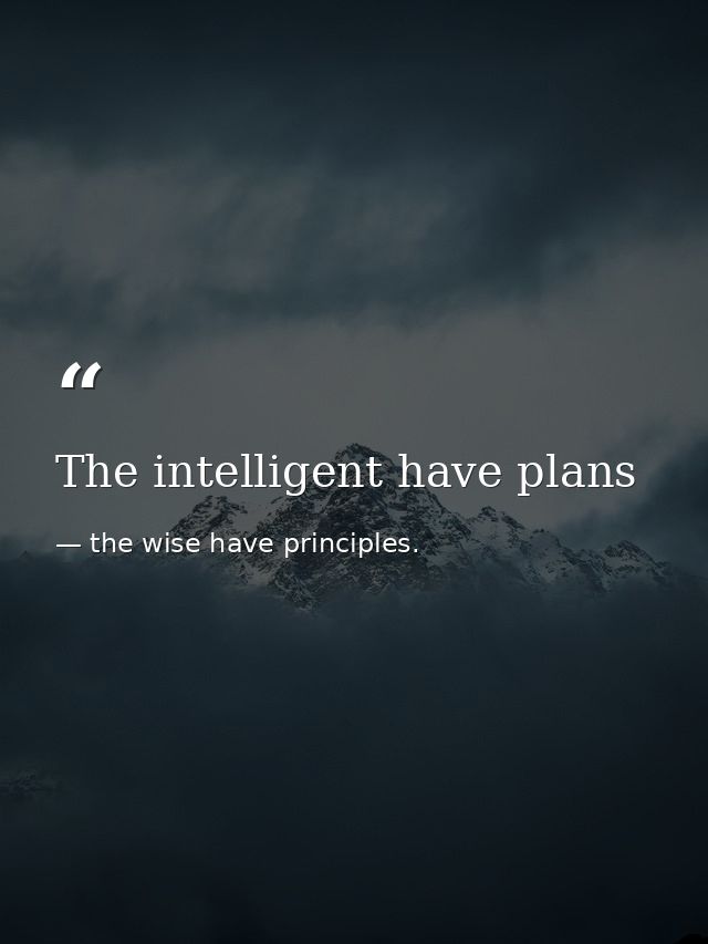 The intelligent have plans — the wise have principles.
