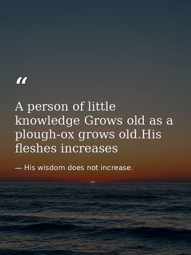 A person of little knowledge Grows old as a plough-ox grows old.His fleshes increases — His wisdom does not increase.