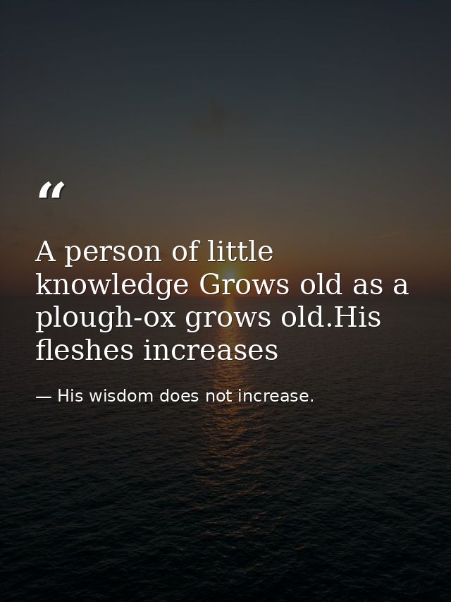A person of little knowledge Grows old as a plough-ox grows old.His fleshes increases — His wisdom does not increase.