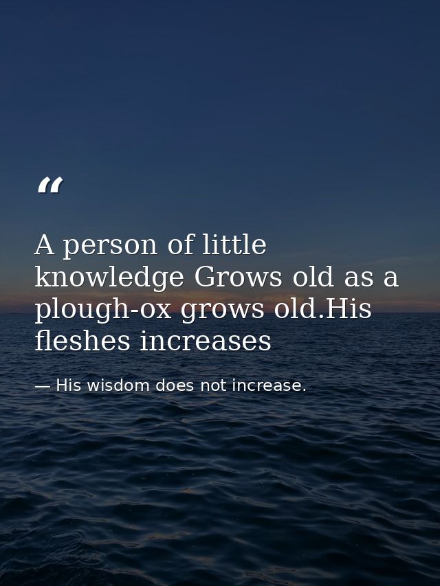 A person of little knowledge Grows old as a plough-ox grows old.His fleshes increases — His wisdom does not increase.