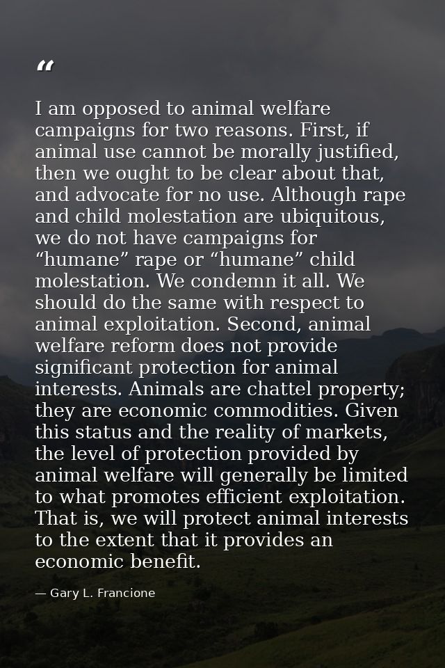 I am opposed to animal welfare campaigns for two reasons. First, if animal use cannot be morally justified, then we ough — Gary L. Francione