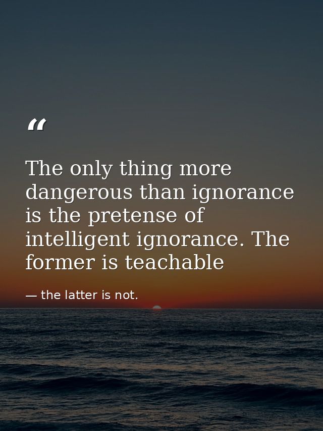 The only thing more dangerous than ignorance is the pretense of intelligent ignorance. The former is teachable — the latter is not.