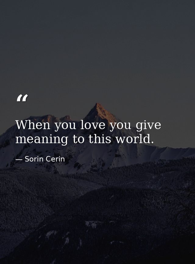 When you love you give meaning to this world. — Sorin Cerin