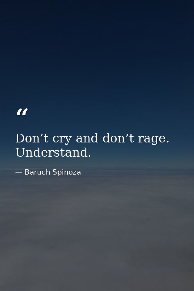 Don’t cry and don’t rage. Understand. — Baruch Spinoza