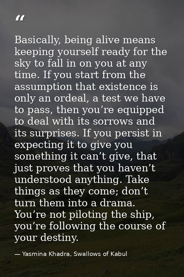 Basically, being alive means keeping yourself ready for the sky to fall in on you at any time. If you start from the ass — Yasmina Khadra, Swallows of Kabul