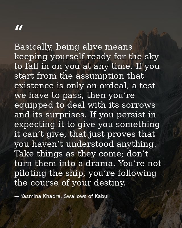 Basically, being alive means keeping yourself ready for the sky to fall in on you at any time. If you start from the ass — Yasmina Khadra, Swallows of Kabul
