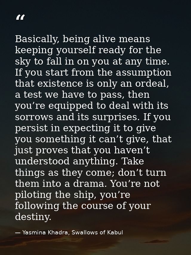 Basically, being alive means keeping yourself ready for the sky to fall in on you at any time. If you start from the ass — Yasmina Khadra, Swallows of Kabul