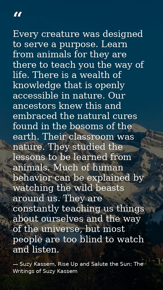 Every creature was designed to serve a purpose. Learn from animals for they are there to teach you the way of life. Ther — Suzy Kassem, Rise Up and Salute the Sun: The Writings of Suzy Kassem