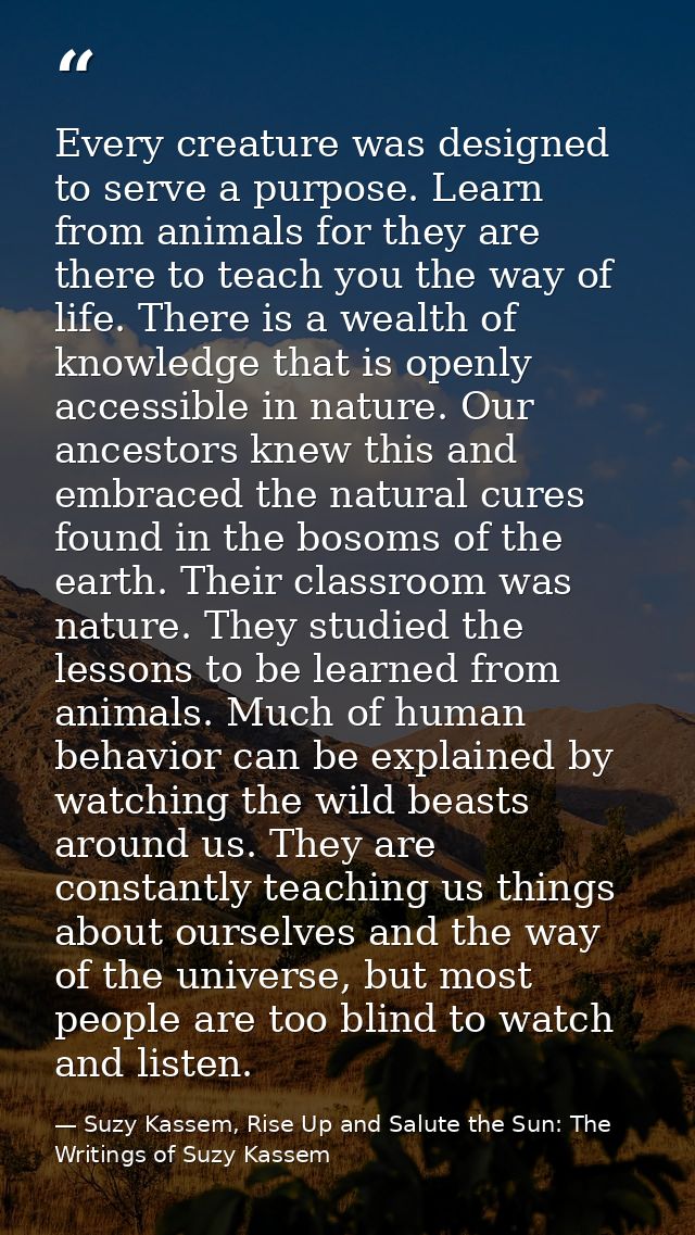 Every creature was designed to serve a purpose. Learn from animals for they are there to teach you the way of life. Ther — Suzy Kassem, Rise Up and Salute the Sun: The Writings of Suzy Kassem