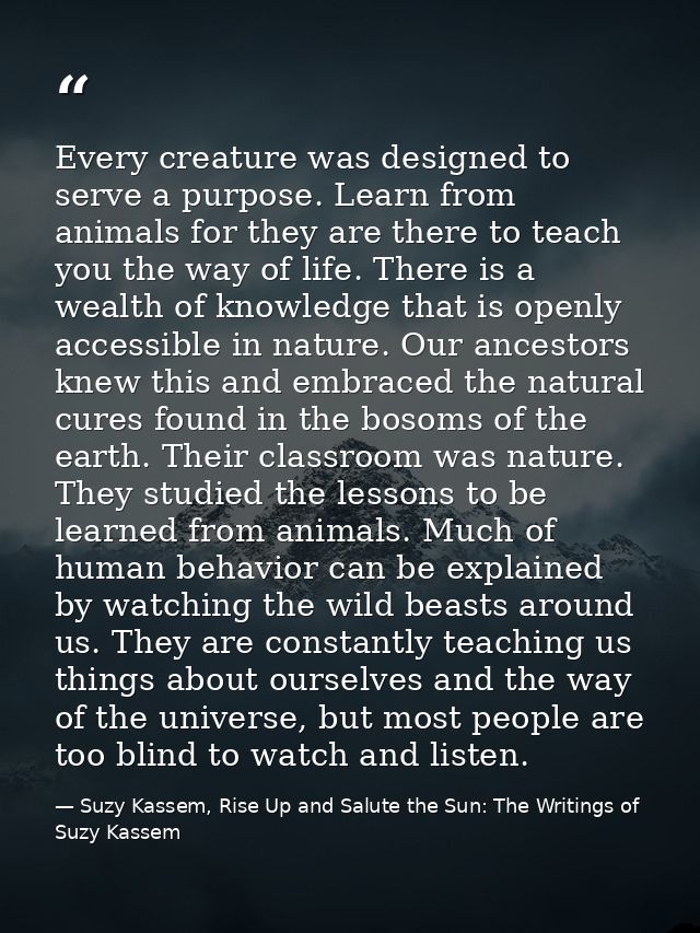 Every creature was designed to serve a purpose. Learn from animals for they are there to teach you the way of life. Ther — Suzy Kassem, Rise Up and Salute the Sun: The Writings of Suzy Kassem