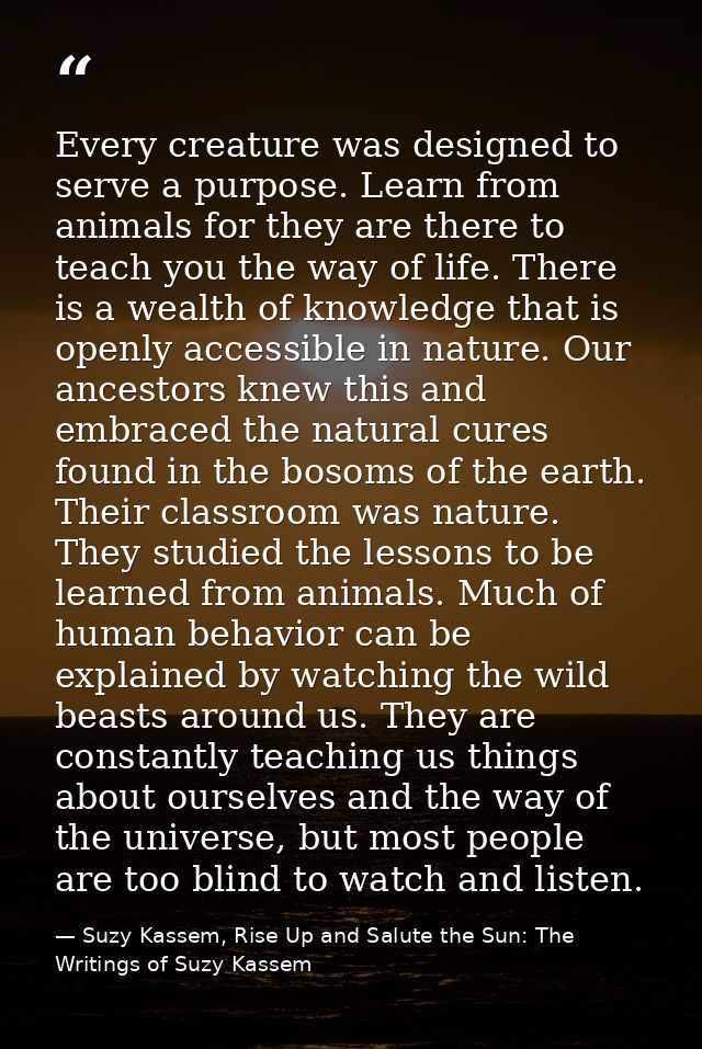 Every creature was designed to serve a purpose. Learn from animals for they are there to teach you the way of life. Ther — Suzy Kassem, Rise Up and Salute the Sun: The Writings of Suzy Kassem