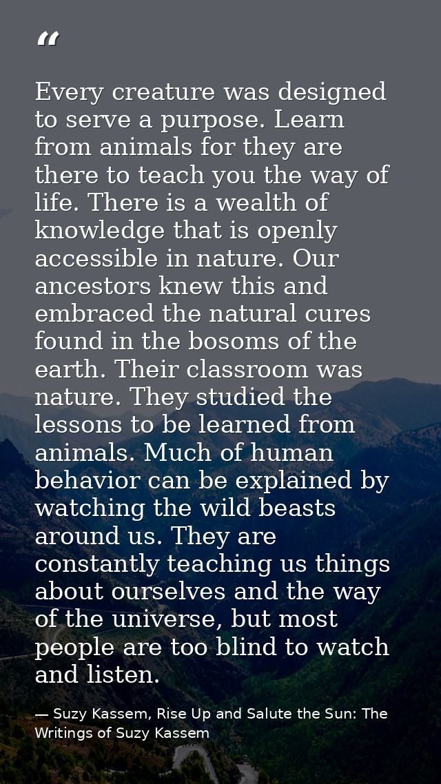 Every creature was designed to serve a purpose. Learn from animals for they are there to teach you the way of life. Ther — Suzy Kassem, Rise Up and Salute the Sun: The Writings of Suzy Kassem