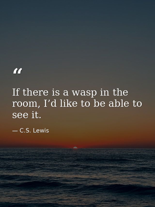 If there is a wasp in the room, I’d like to be able to see it. — C.S. Lewis