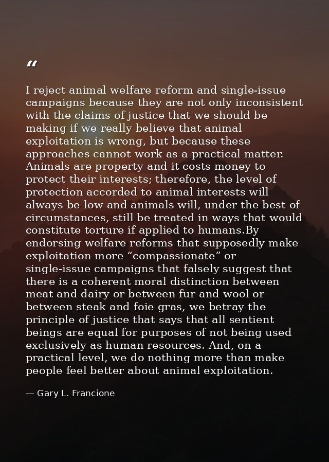 I reject animal welfare reform and single-issue campaigns because they are not only inconsistent with the claims of just — Gary L. Francione