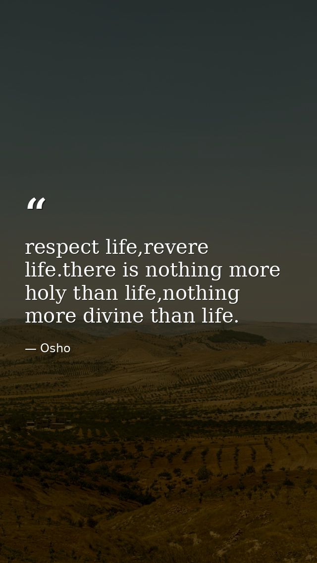 respect life,revere life.there is nothing more holy than life,nothing more divine than life. — Osho
