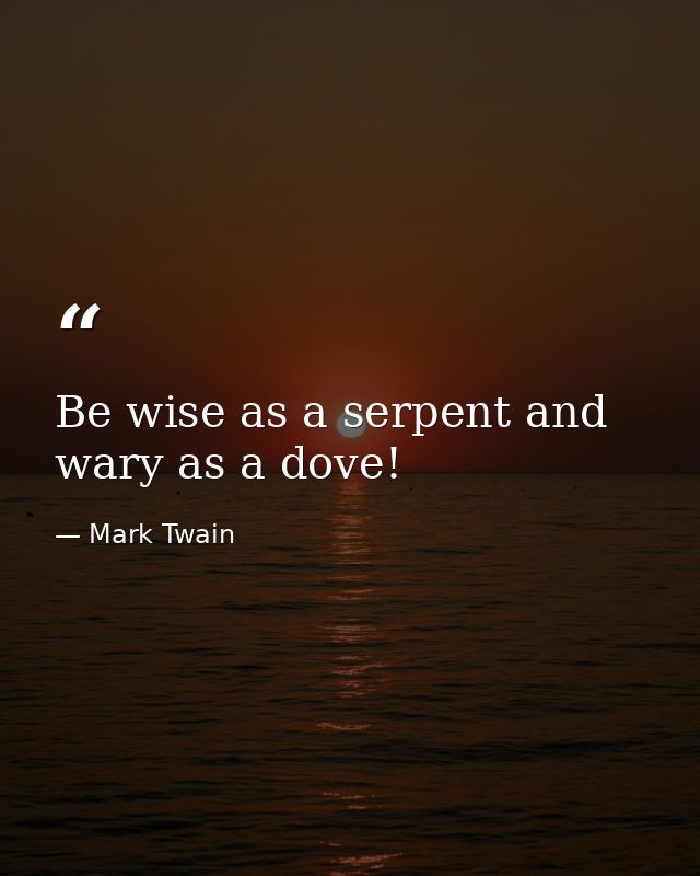 Be wise as a serpent and wary as a dove! — Mark Twain