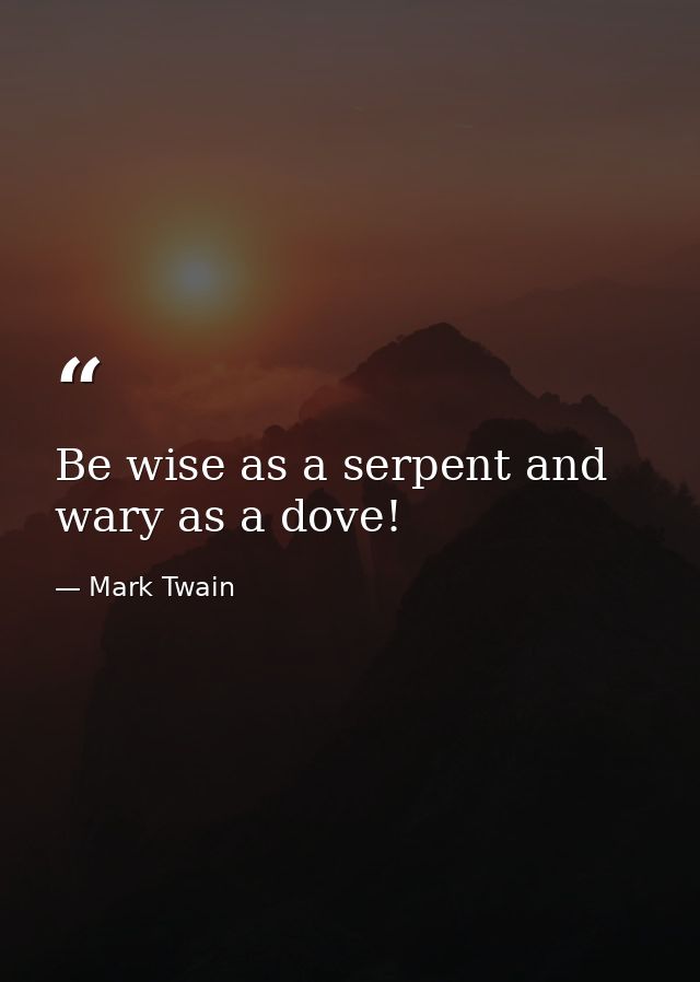 Be wise as a serpent and wary as a dove! — Mark Twain
