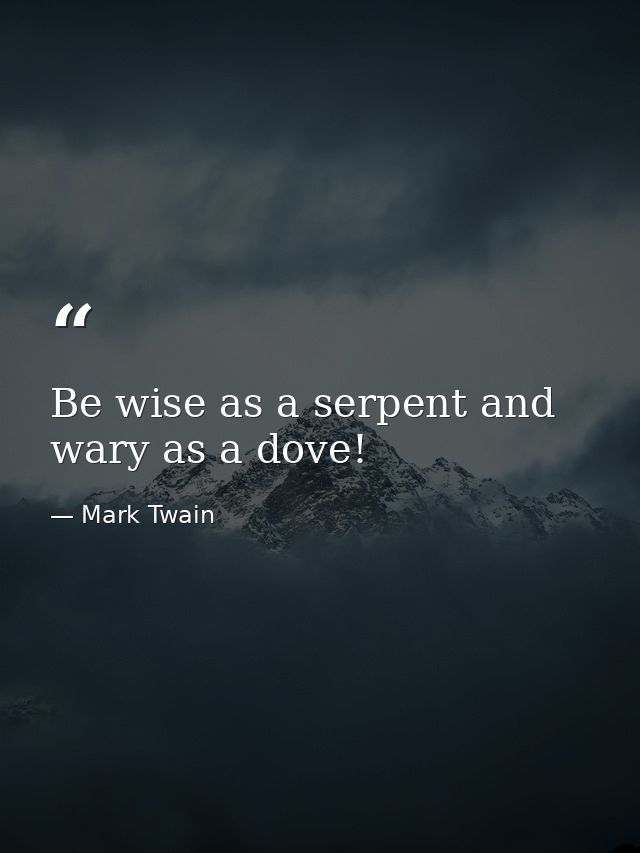 Be wise as a serpent and wary as a dove! — Mark Twain