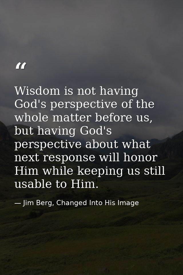 Wisdom is not having God's perspective of the whole matter before us, but having God's perspective about what next respo — Jim Berg, Changed Into His Image