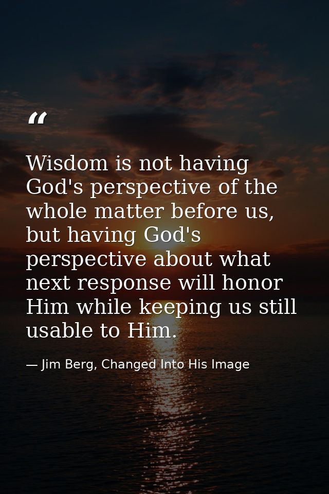 Wisdom is not having God's perspective of the whole matter before us, but having God's perspective about what next respo — Jim Berg, Changed Into His Image