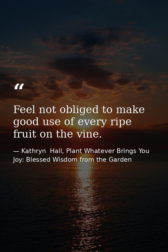Feel not obliged to make good use of every ripe fruit on the vine. — Kathryn  Hall, Plant Whatever Brings You Joy: Blessed Wisdom from the Garden