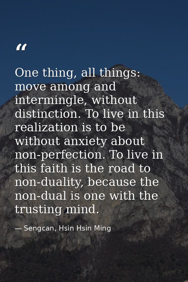 One thing, all things: move among and intermingle, without distinction. To live in this realization is to be without anx — Sengcan, Hsin Hsin Ming