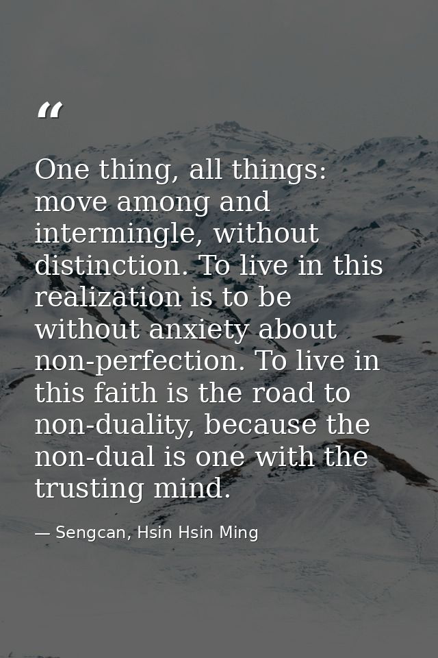 One thing, all things: move among and intermingle, without distinction. To live in this realization is to be without anx — Sengcan, Hsin Hsin Ming