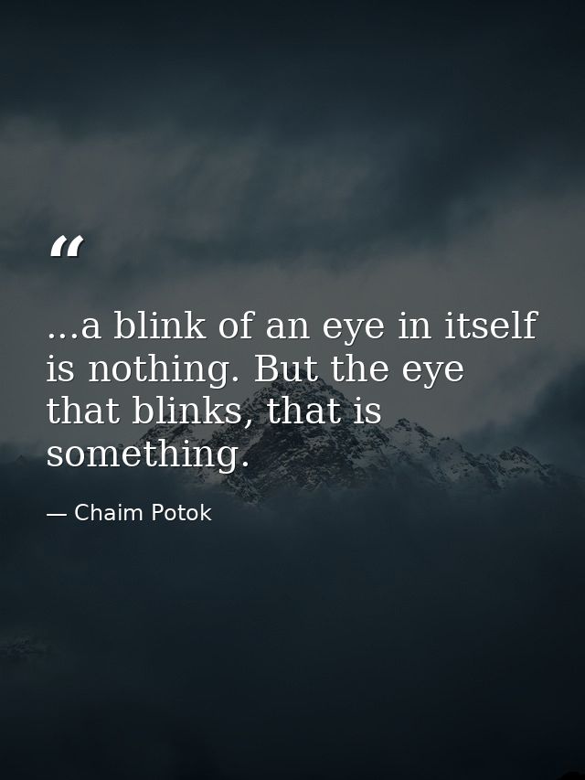 ...a blink of an eye in itself is nothing. But the eye that blinks, that is something. — Chaim Potok