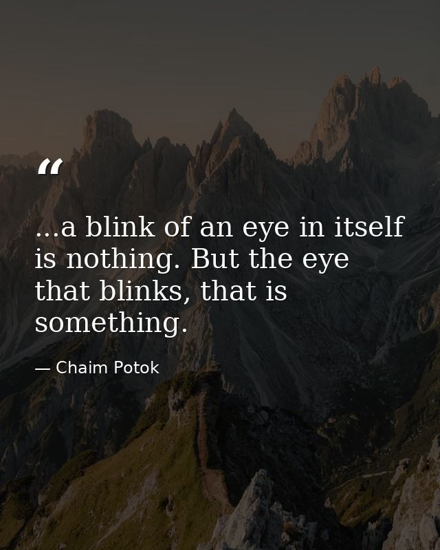 ...a blink of an eye in itself is nothing. But the eye that blinks, that is something. — Chaim Potok