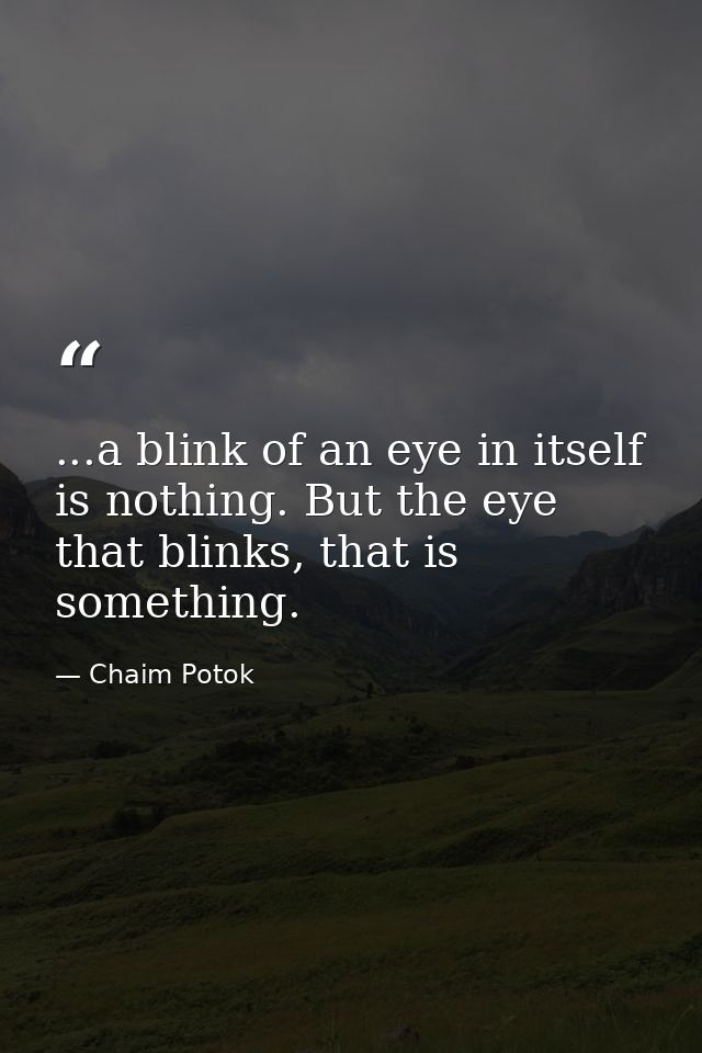 ...a blink of an eye in itself is nothing. But the eye that blinks, that is something. — Chaim Potok
