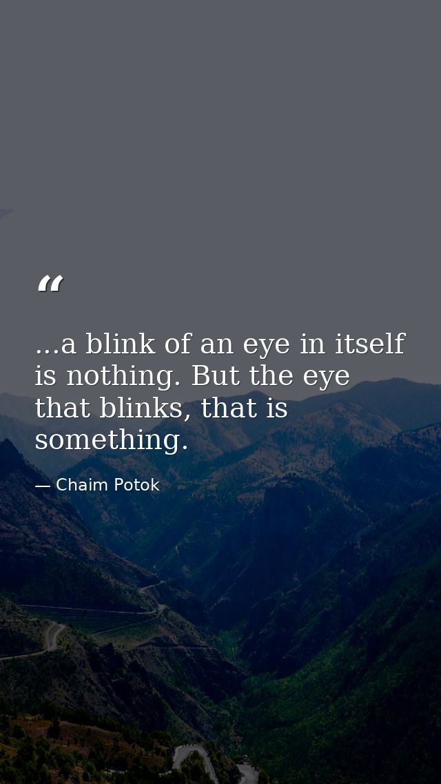 ...a blink of an eye in itself is nothing. But the eye that blinks, that is something. — Chaim Potok