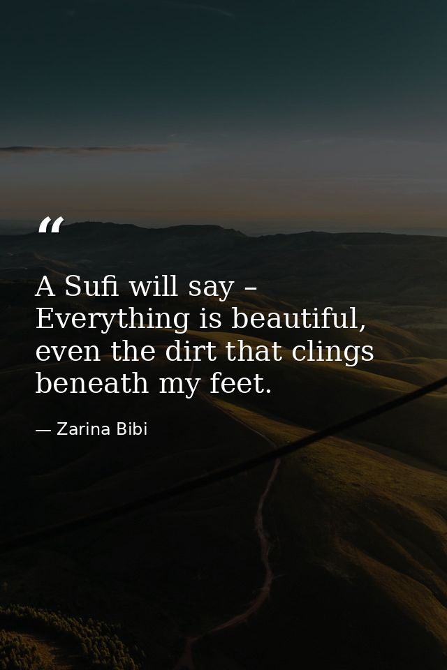 A Sufi will say – Everything is beautiful, even the dirt that clings beneath my feet. — Zarina Bibi