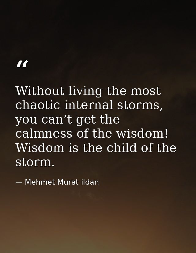 Without living the most chaotic internal storms, you can’t get the calmness of the wisdom! Wisdom is the child of the st — Mehmet Murat ildan