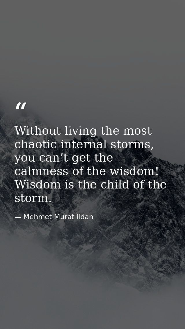 Without living the most chaotic internal storms, you can’t get the calmness of the wisdom! Wisdom is the child of the st — Mehmet Murat ildan