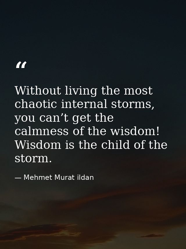 Without living the most chaotic internal storms, you can’t get the calmness of the wisdom! Wisdom is the child of the st — Mehmet Murat ildan