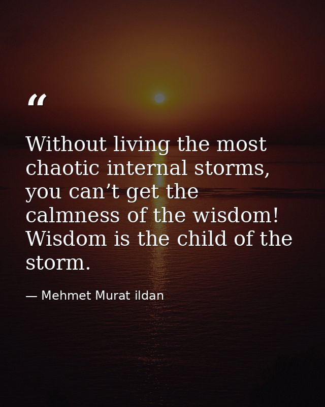 Without living the most chaotic internal storms, you can’t get the calmness of the wisdom! Wisdom is the child of the st — Mehmet Murat ildan
