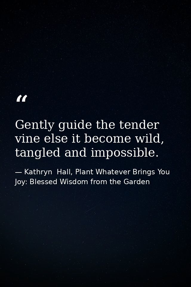 Gently guide the tender vine else it become wild, tangled and impossible. — Kathryn  Hall, Plant Whatever Brings You Joy: Blessed Wisdom from the Garden