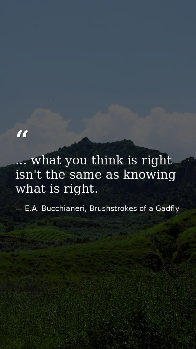 ... what you think is right isn't the same as knowing what is right. — E.A. Bucchianeri, Brushstrokes of a Gadfly