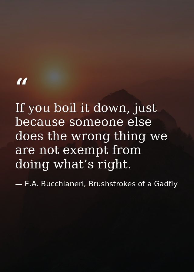 If you boil it down, just because someone else does the wrong thing we are not exempt from doing what’s right. — E.A. Bucchianeri, Brushstrokes of a Gadfly