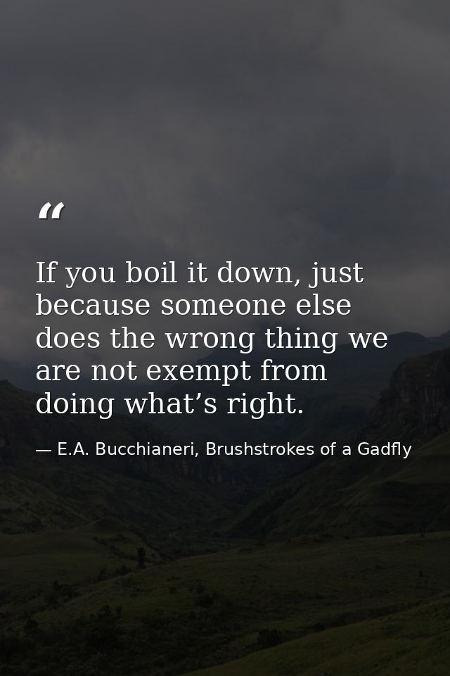 If you boil it down, just because someone else does the wrong thing we are not exempt from doing what’s right. — E.A. Bucchianeri, Brushstrokes of a Gadfly